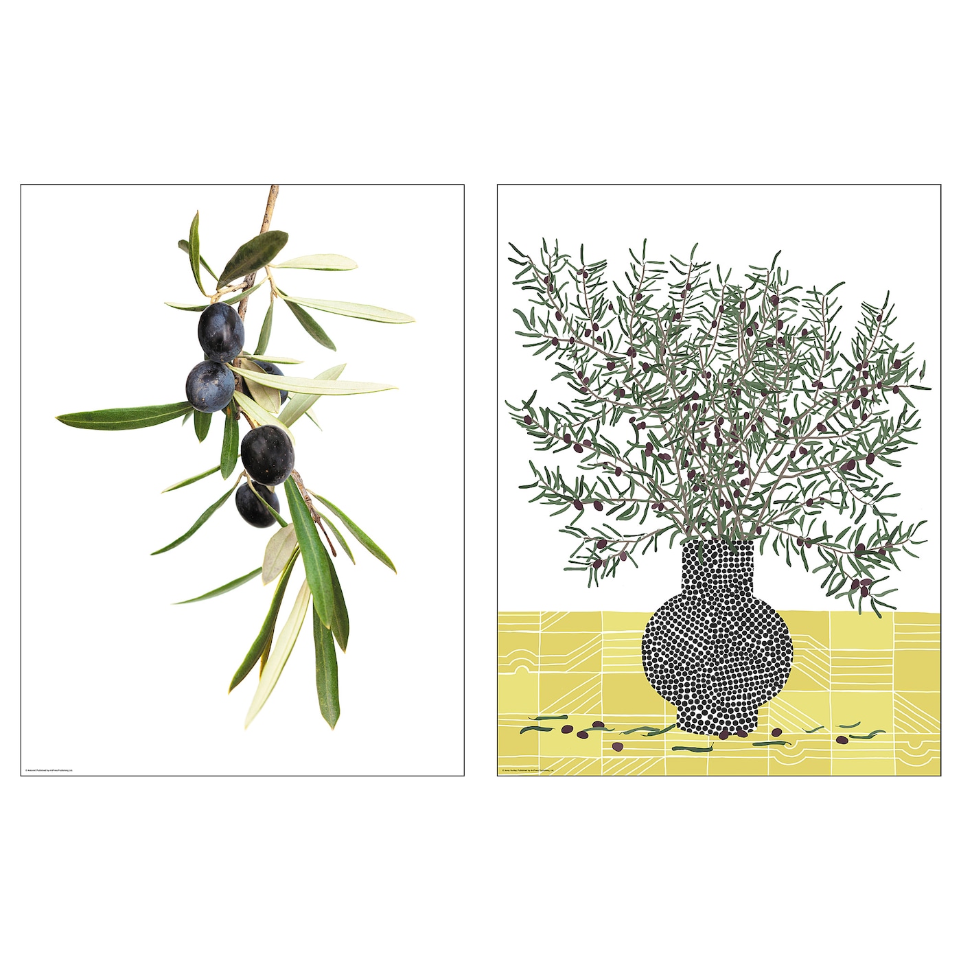 BILD - plakat gałązka oliwna