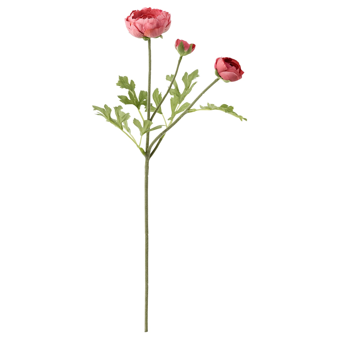 SMYCKA - sztuczny kwiat jaskier/ciemnoróżowy