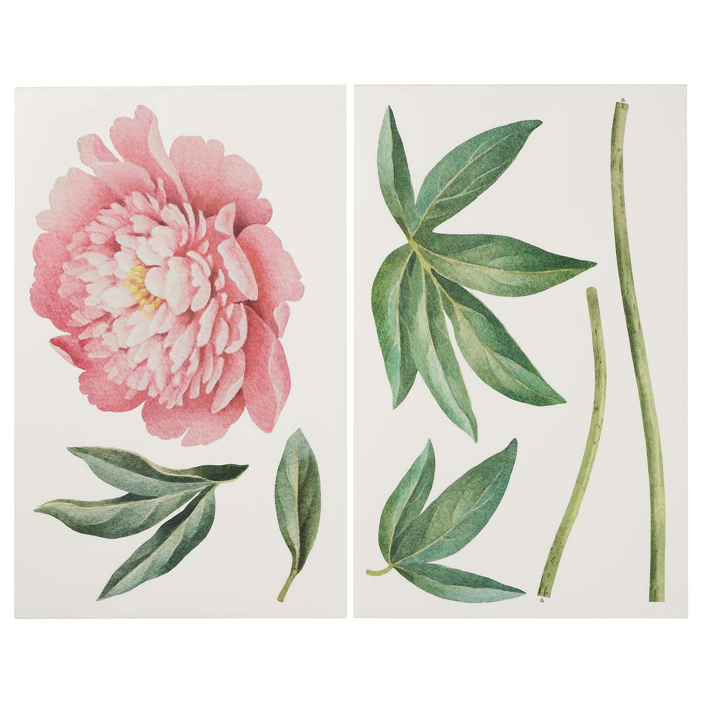 KINNARED - naklejki dekoracyjne różowa peonia