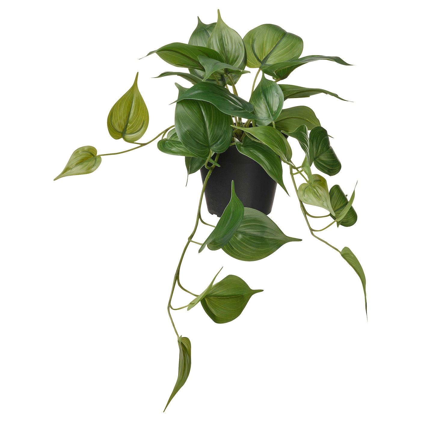 FEJKA - sztuczna roślina doniczkowa do wewnątrz/na zewnątrz epipremnum złociste/wiszący